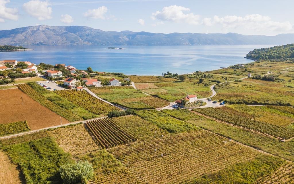 Vitis Winery